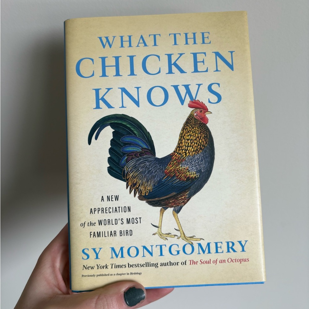 What the Chicken Knows hardcover book by Sy Montgomery